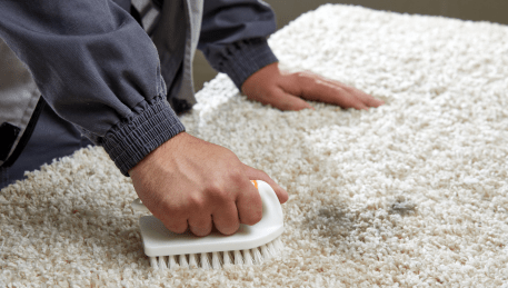 Professional Rug Cleaning Lalor